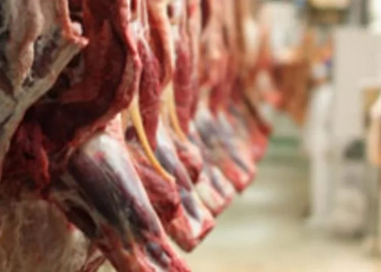 Préparatifs du Ramadan 2025 : 28 000 tonnes de viande ! La grande annonce pour les Algériens Préparatifs du Ramadan 2025 : 28 000 tonnes de viande ! La grande annonce pour les Algériens