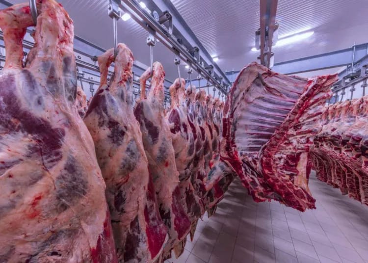 Insolite : Une boucherie '100% halal' vendait du sanglier en France halal