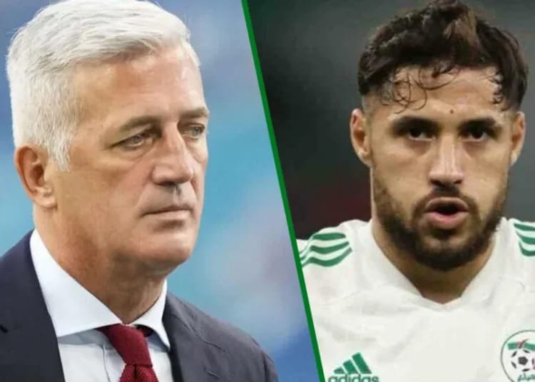 Petkovic loin de l'Algérie : Bordeaux tente déjà de le recruter Youcef Belaïli de retour avec les Fennecs : le pari risqué de Petkovic qui enflamme l'Algérie !