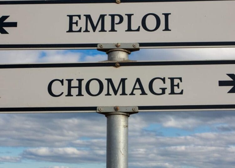 Chômage en Algérie : une baisse choc à 9,7 % en 2024... mais à quel prix ? Chômage en Algérie : une baisse choc à 9,7 % en 2024... mais à quel prix ?