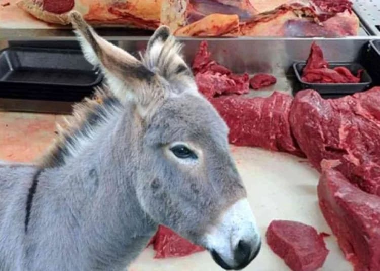 Ramadan 2025 : Ils ont failli faire manger de la viande d'âne aux Algériens, la justice a sanctionné !