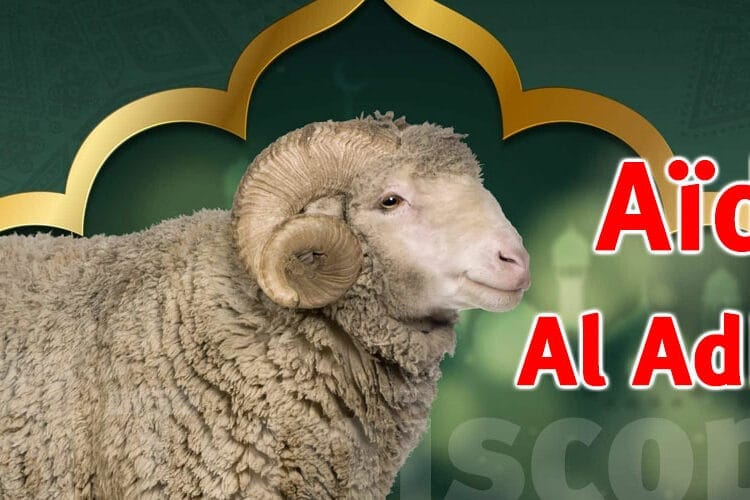 60 000 moutons pour casser les prix de l'Aïd El-Adha 2025 ! Aïd El-Adha 2025 : une date révélée qui divise déjà le monde musulman