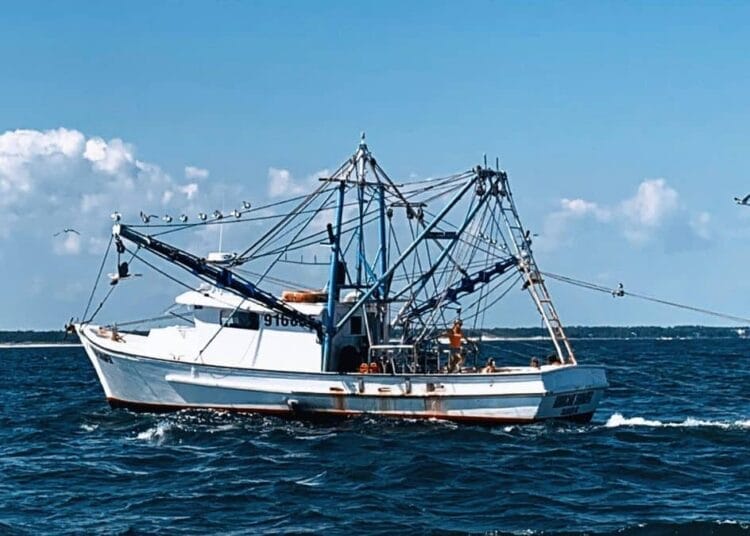 France : une coopérative bretonne fait construire ses bateaux de pêche en Algérie Algérie : Construction de navires de pêche