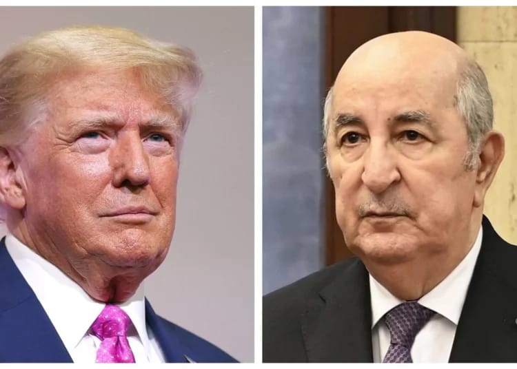 Lettre officielle de Donald Trump à Tebboune : ce que contient le message du président américain Lettre officielle de Donald Trump à Tebboune : ce que contient le message de l’ex-président américain