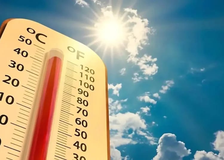 Canicule en Algérie : jusqu’à 46 °C attendus ce mardi Vague de chaleur en Algérie : plusieurs wilayas en alerte jaune