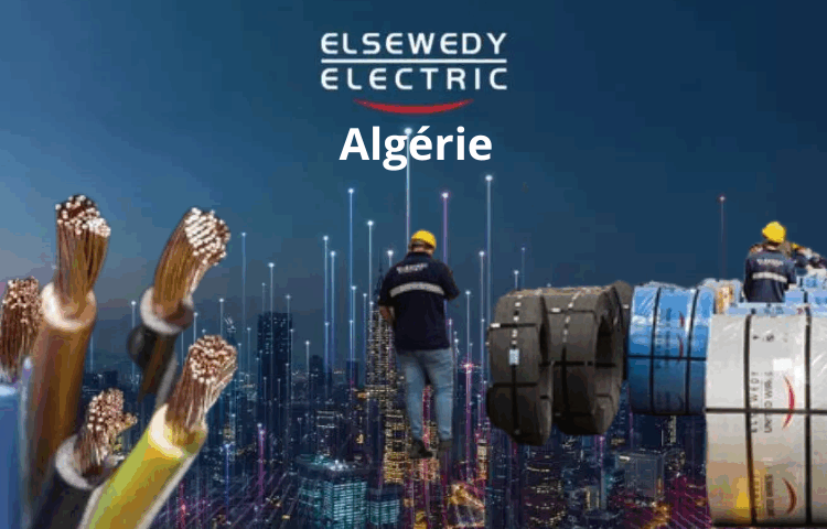 L’Algérie booste l’Afrique de l’Ouest avec 480 M$ d’équipements