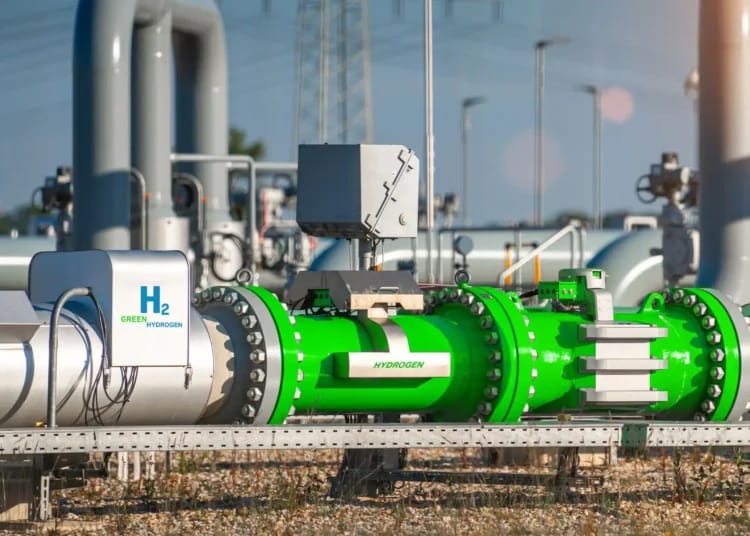 Carburants verts : les nouveaux projets algériens au Japon