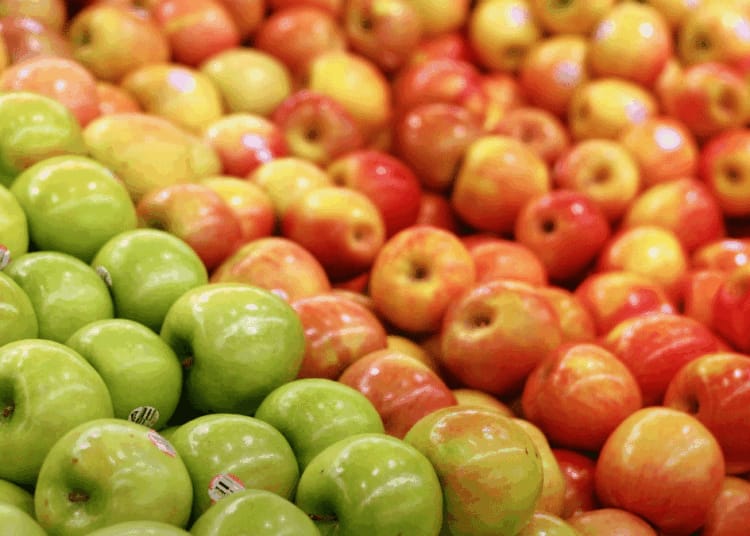 Algérie : la grêle menace les récoltes de pommes cette saison Prix des pommes algériennes : la polémique enfle encore