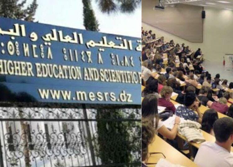 Réforme de l’Enseignement Supérieur en Algérie : ces écoles préparent des contrats en or pour leurs diplômés
