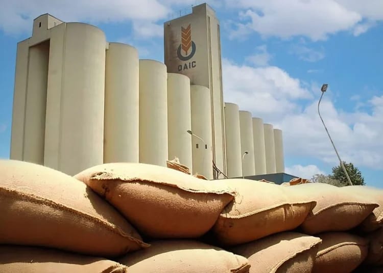 Algérie : l’OAIC lance un appel d’offres pour importer 50.000 tonnes de blé