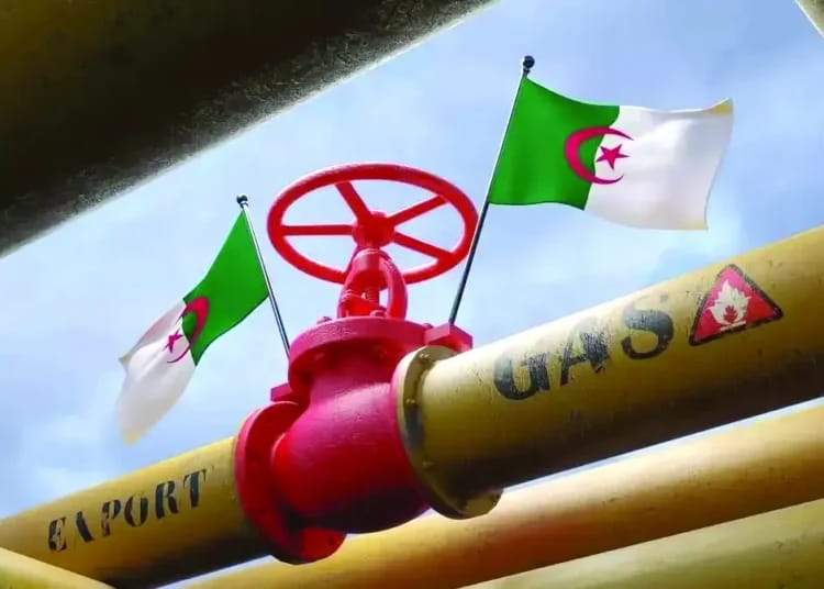 Comment l’Algérie domine le marché du gaz en Afrique Algérie : recul du GNL, mais une place mondiale préservée