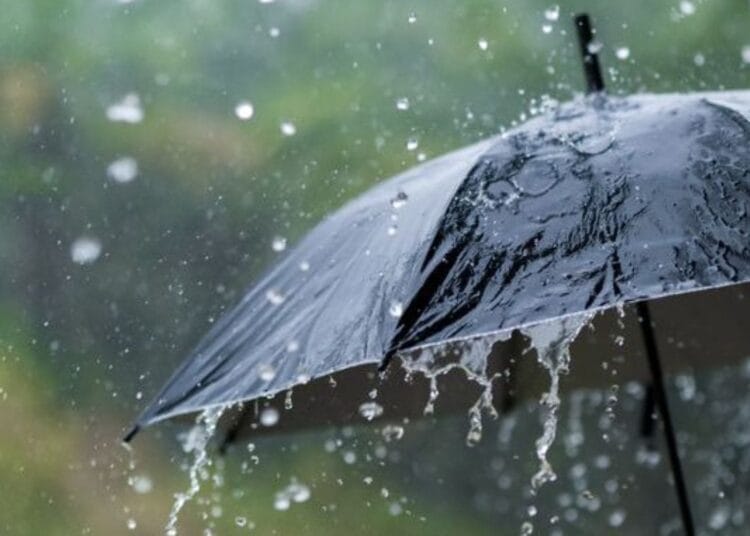Météo Algérie : pluies et orages attendus ce 9 octobre Intempéries en Algérie : quelles régions seront touchées ?