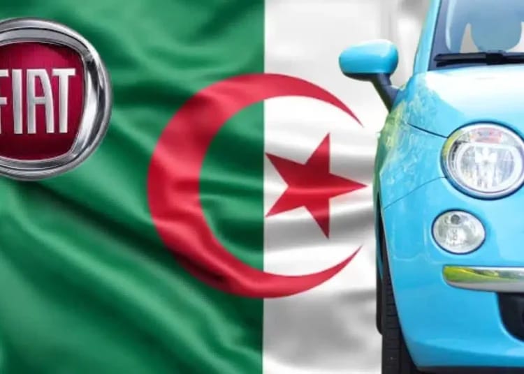 Début des ventes de la Grande Panda en Algérie : info ou rumeur ?