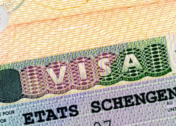 Visa Schengen : comment la pénurie alimente un trafic juteux en Algérie Pourquoi les visas étudiants algériens divisent la France