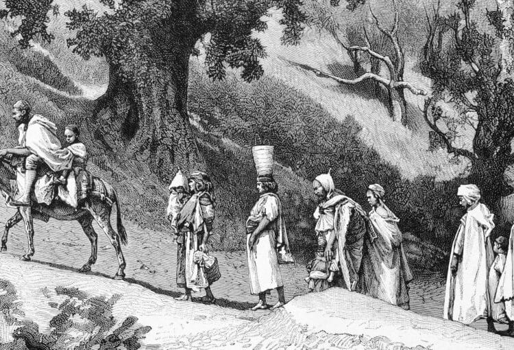 Impact écologique colonial : un passé toxique décrypté