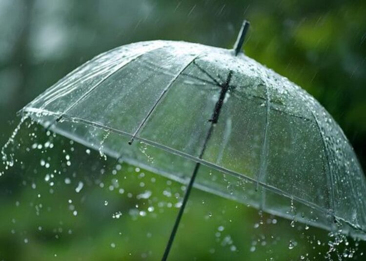 Météo en Algérie : fortes pluies attendues ce week-end Météo en Algérie : fortes pluies attendues ce week-end