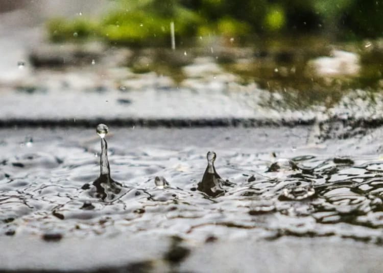 Pluie en Algérie : Les régions qui seront plus touchées ? Pluie en Algérie : Les régions qui seront plus touchées ?
