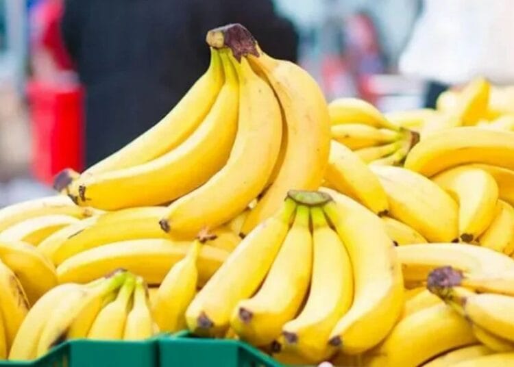 Des bananes cachées : 10 tonnes découvertes en Algérie ! Comment Mostefa Mazouz veut relancer la banane en Algérie