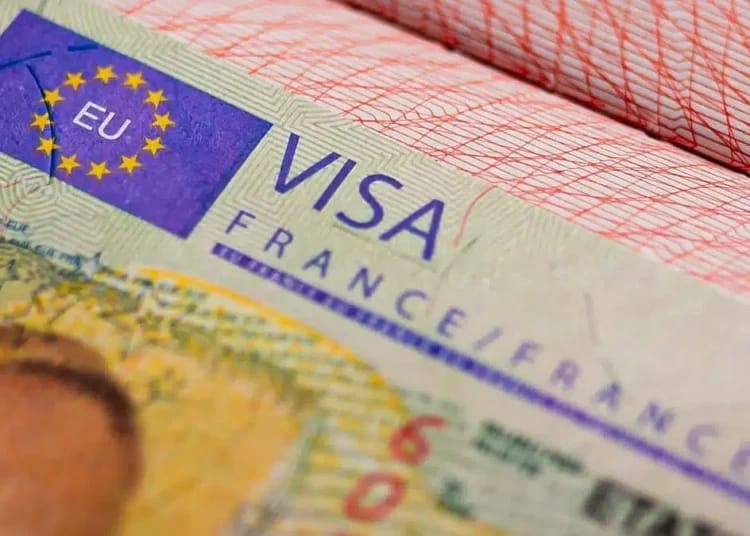 Chute des visas pour les Algériens : les vraies raisons