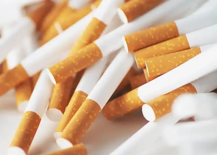 Cigarettes avec filtre orange et tabac blanc en gros plan.