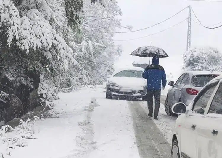 Personne avec parapluie sous la neige, voitures recouvertes de glace.