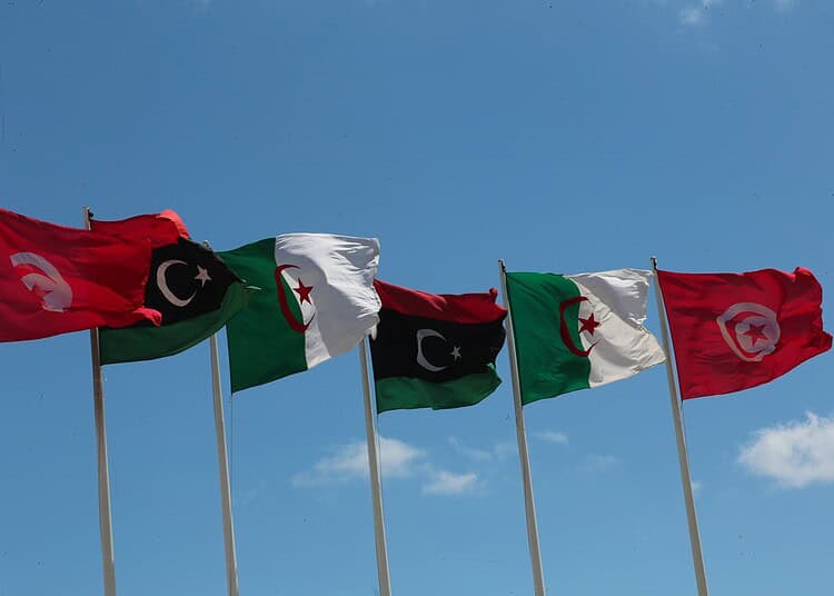 Drapeaux du Maghreb flottant sous un ciel bleu clair.