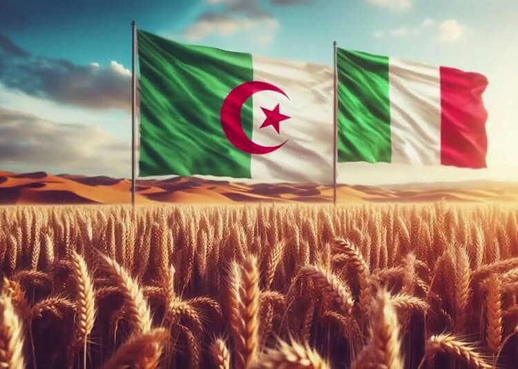 Drapeaux d'Algérie et d'Italie dans un champ de blé au coucher du soleil.