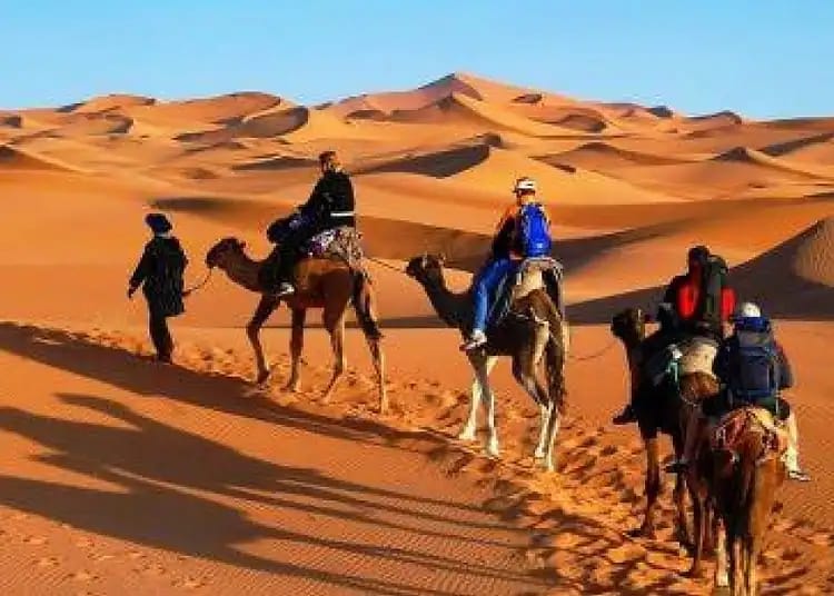 Algérie : la vraie raison du rejet du tourisme révélée Groupe de touristes à dos de chameau dans le Sahara algérien.