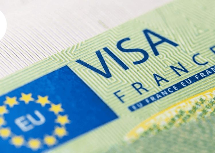 Quatre catégories de visa : Capago Algérie clarifie les règles essentielles pour la France Visa France avec symbole européen et drapeau algérien.