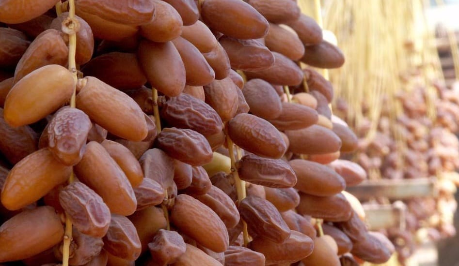Pourquoi les dattes algériennes sont boycottées au Maroc ?