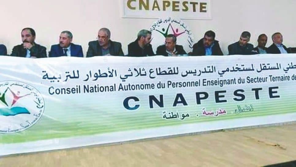 Les membres du CNAPESTE lors d'une réunion importante.
